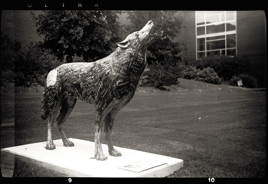 Photographed with the Voigtlander Bessa / Arista EDU 100 Film.