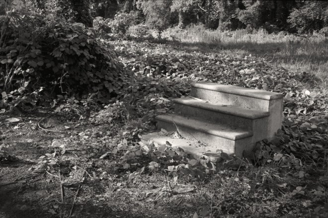 Camera: Yashica 35GSN; Film: Kentmere 100