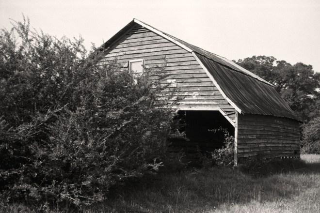 Camera: Yashica 35GSN; Film: Kentmere 100