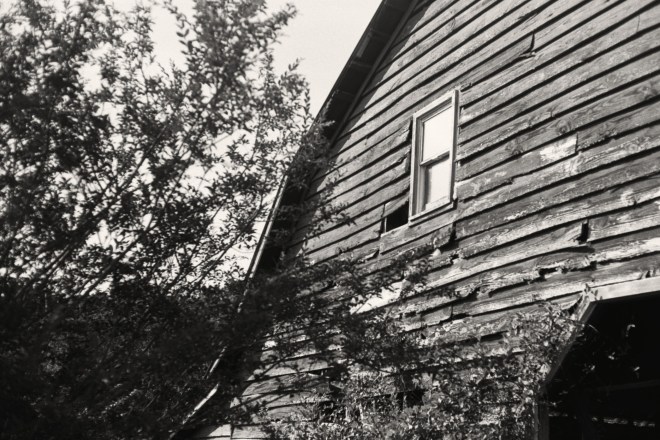 Camera: Yashica 35GSN; Film: Kentmere 100