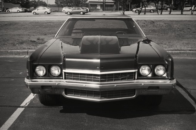 Camera: Yashica 35GSN; Film: Kentmere 100