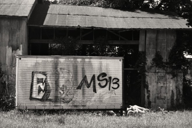 Camera: Yashica 35GSN; Film: Kentmere 100