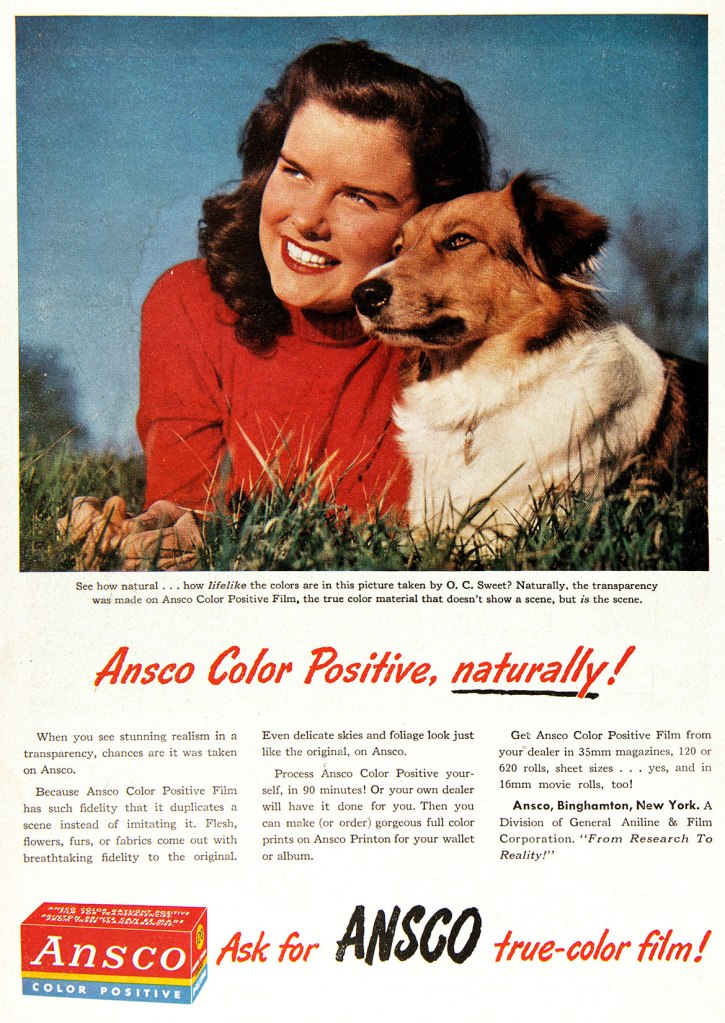 1949 Ansco color Positive film ad
